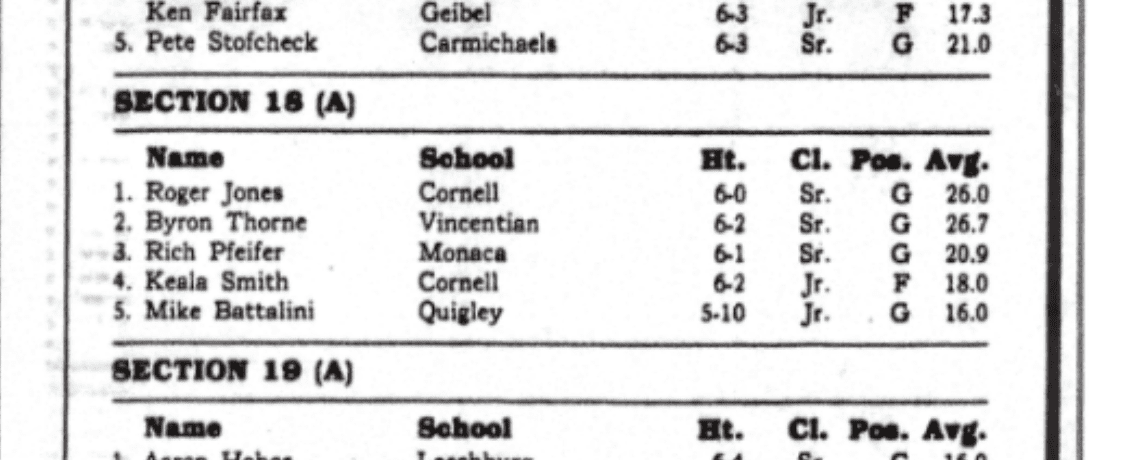 Black silhouette of an eagle with spread wings above a shield.